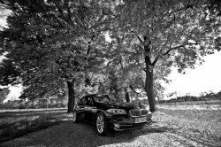 Luksusowe przewozy ślubne - Auto do ślubu