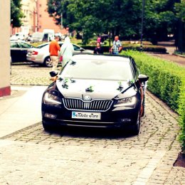 Superb Wesele - Auto do ślubu