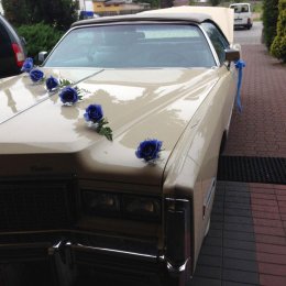 Piękny Cadillac Eldorado - Auto do ślubu