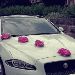 Rentier - Auto do ślubu