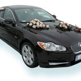 Perfect Mobile - Auto do ślubu