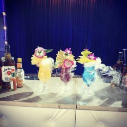 Drink Dream - Barman na wesele