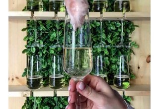 suomka Champagne Prosecco Wall dekoracyjna ścianka