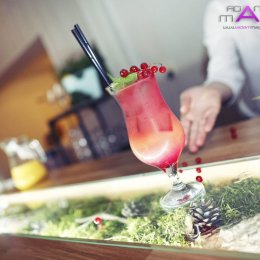 Drink & Movement - Barman na wesele