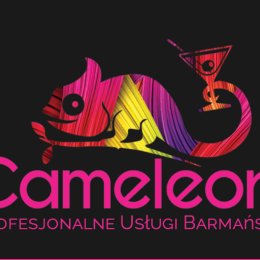 Drink Bar Cameleon - Barman na wesele