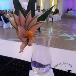 COCKTAILS Agencja Barmańska - Barman na wesele