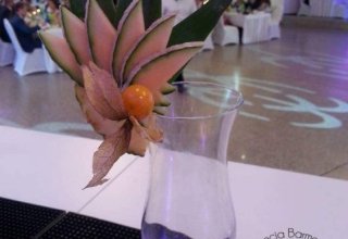 COCKTAILS Agencja Barmańska