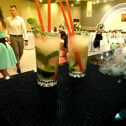 FANTASTICDRINK Mobilny Bar na wesela i imprezy - Barman na wesele