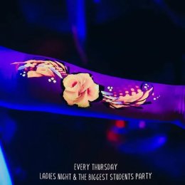 Rysiowe Animacje - Animatorzy dla dzieci