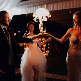 Artystyczny pokaz baniek mydlanych Bubbles & ART - Balony i bańki mydlane