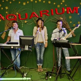 Muzyka na żywo - Walendzik Band - Zespoły weselne