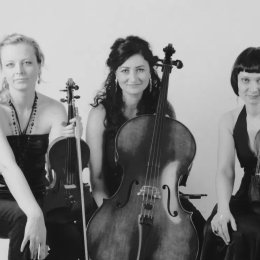 Trio Siesta - Zespoły weselne