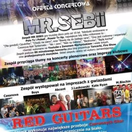 Mr Sebii - Wesele od A do Z +gratisy na cała noc - Zespoły weselne
