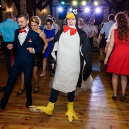 DJ Wodzirej DJ CEESH Usługi Muzuczne - DJ na wesele