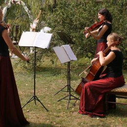 Ekspresja - koncerty kameralne, profesjonalna oprawa - Zespoły weselne