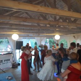 Dj Fox (dj, wodzirej, akordeonista) / Zespół muzyczny Linda - Zespoły weselne