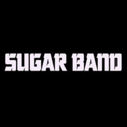 Zespół na wesele SUGAR BAND Leszno - Zespoły weselne