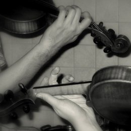 Śpiewające Skrzypce - Zespoły weselne