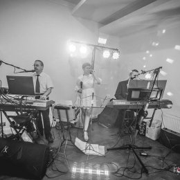 Ygrek - Oprawa muzyczna - Zespoły weselne