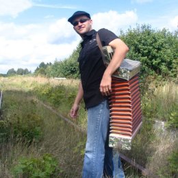 Akordeonista - Zespoły weselne