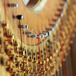 Wiśniowe śluby - Zespoły weselne