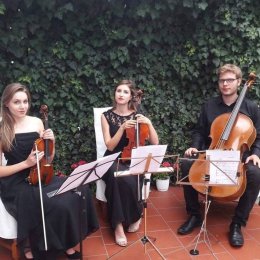 Profesjonalna oprawa muzyczna ślubu - Zespoły weselne