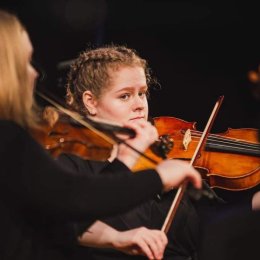 Gioia Trio - Zespoły weselne