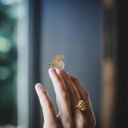 SAFFA -biżuteria  - Obrączki ślubne