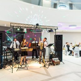 Rezydencja sosnowa - Sale weselne