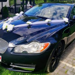 Jaguar XF do ślubu - Auto do ślubu