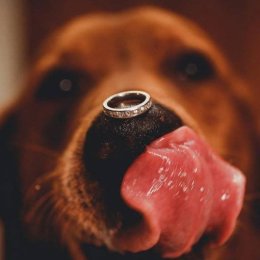 paste-love-photo.pl - Fotograf ślubny