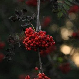 Tomasz Kaproń Photography - Fotograf ślubny