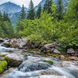 Spojrzenia foto - Fotograf ślubny