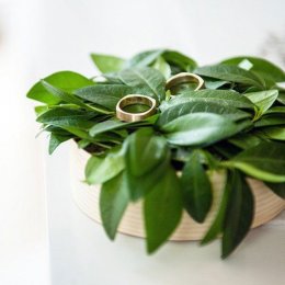 PHOTOACTIONS - Fotograf ślubny