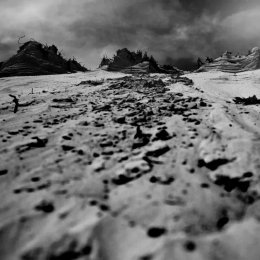 NOFOTONOFUN - Fotograf ślubny