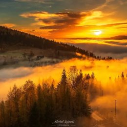 Usługi Fotograficzne Michał Sośnicki - Fotograf ślubny