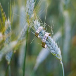 VF Studio - Fotograf ślubny