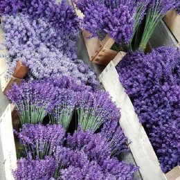 Lavendel Natur Haus - Bukiety ślubne