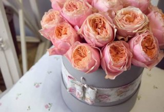 Kwiaciarnia Cuda Wianki, dekorowanie uroczystości