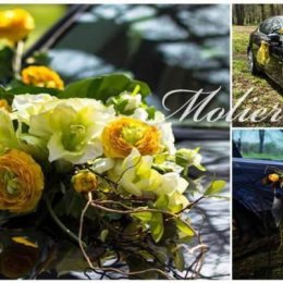 Dekoracja sali, auta, bukiet - Moliere - Bukiety ślubne