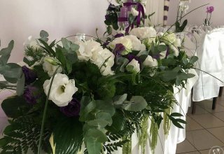 Kwiaciarnia Maciejka