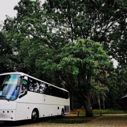 ORTiR autokary i busy - Wynajem busów