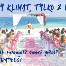 NAVIGO. Przewóz osób - Wynajem busów