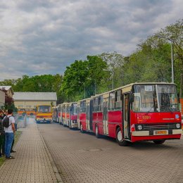 Zabytkowy autobus na ślub, wesele lub spotkanie towarzyskie - Wynajem busów