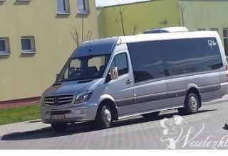 IREGAS autokary busy