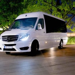 Alexander Bus  - Wynajem busów