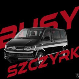 Transport weselny Busem 8 osobowym - Wynajem busów