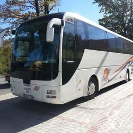 Tiger-Bus luksusowe busy i autokary dla gości ! - Wynajem busów