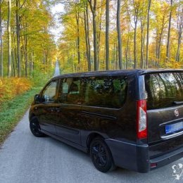 Rozwożenie gości weselnych- transport busem 9os. - Wynajem busów