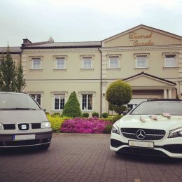 Rozwożenie gości 7os vanem, transfery z lotniska, transport na wesele - Wynajem busów